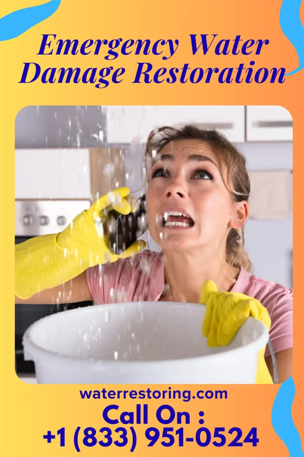 Emergency Water Damage Restoration in Bradley, IL