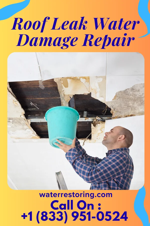 Roof Leak Water Damage Repair in Bradley, IL